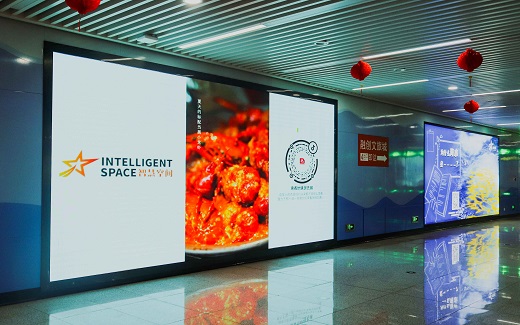 wz25051401 wz25051401